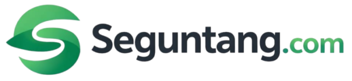 seguntang.com