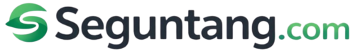 Seguntang.com