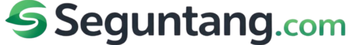 seguntang.com