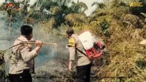 Sinergi TNI-Polri dan Damkar Padamkan Karhutla di Batu Urip Lubuk Linggau