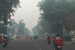Kabut Asap Tebal Selimuti Lubuklinggau, Warga Keluhkan Sesak Napas