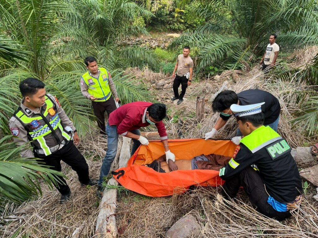 Jalan Berlubang Diduga Picu Truk Terjun ke Jurang 80 Meter, Sopir Tewas