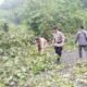 Hujan Deras Picu Pohon Tumbang di Lingkar Selatan Lubuk Linggau, Polisi dan Warga Bergerak Cepat